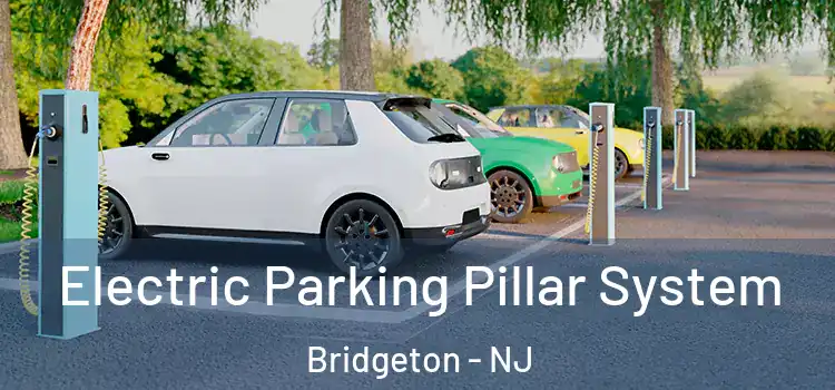 Electric Parking Pillar System Bridgeton - NJ